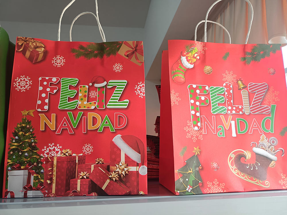 Printed Paper Shopping Bags