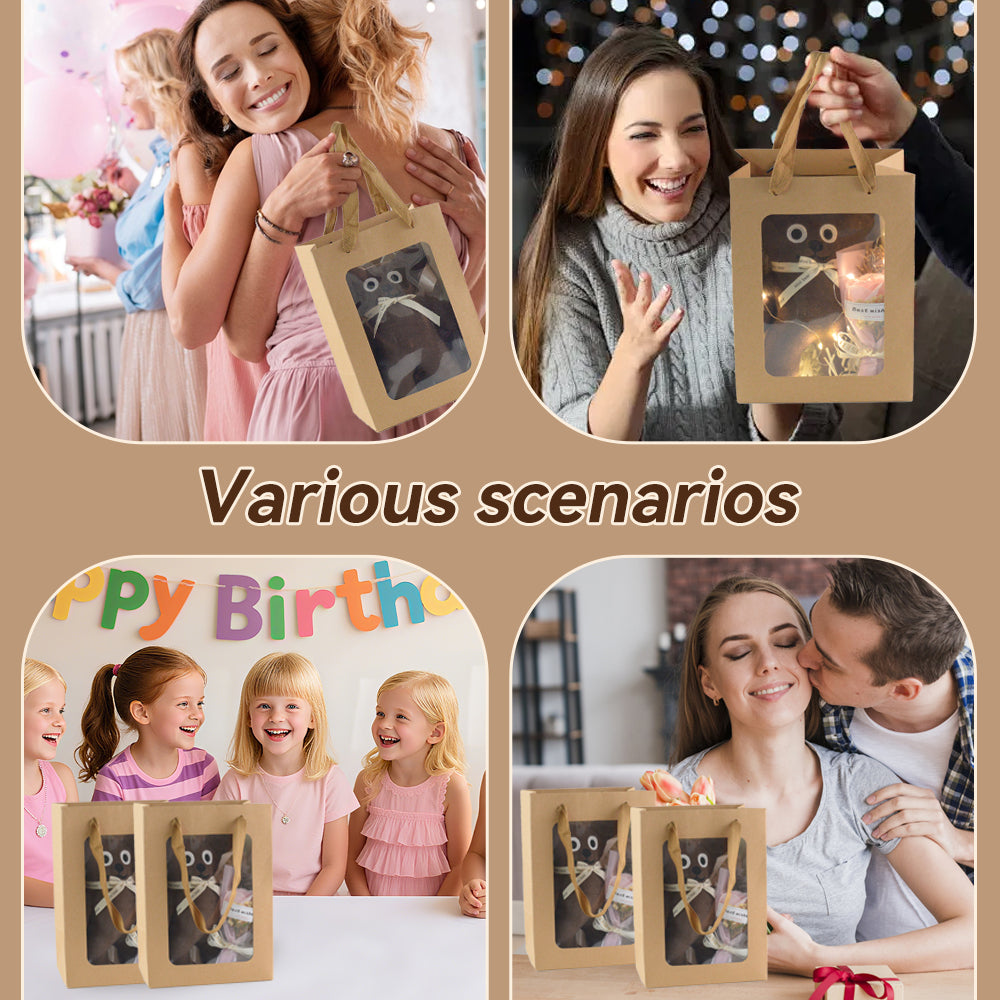 Gift Bag with Transparent Window