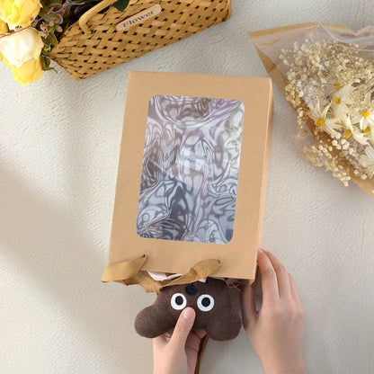 Gift Bag with Transparent Window